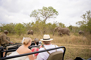 Luxury Safari Wedding - Singita Private Game Reserve