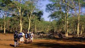 Luxury South African Safaris - Pafuri WalkingTrail in Kruger National Park