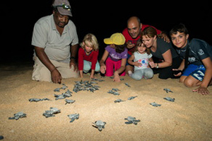 Turtle Hatching - Luxury Rocktail Bay Vacation