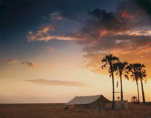 jack's camp safari