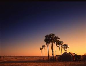 jack's camp safari botswana