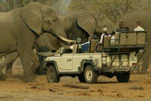 savuti camp safari