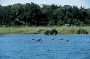 duma tau camp safari