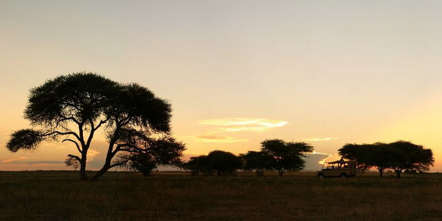 Classic Kalahari Safari | Luxury African Safari Vacations | Classic Africa