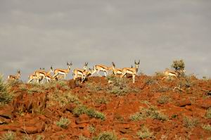 Great Namibian Journey | Luxury African Safari Vacations | Classic Africa - Luxury African Safaris