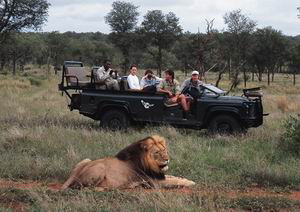londolozi private game reserve south africa luxury safaris