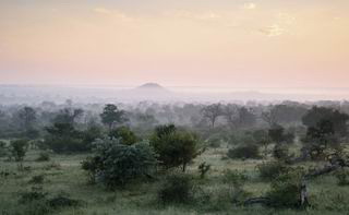 londolozi private game reserve luxury safari