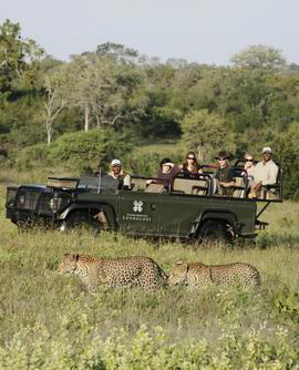 londolozi private game reserve safari conservation dimension