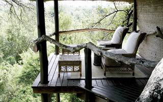 londolozi private game reserve safari south africa