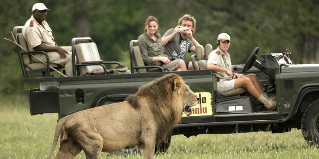 Limpopo Sand Safari | Luxury African Safari Vacations | Classic Africa
