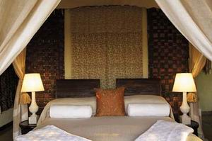 madikwe hills lodge safari south africa