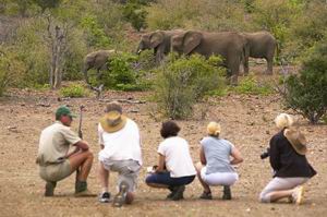 Luxury African Safari Vacations | Limpopo Sand Safari | Classic Africa
