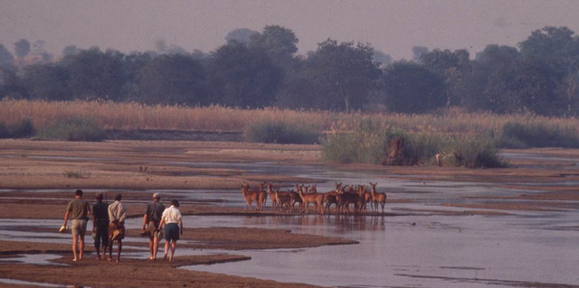 Robin Pope Mobile Walking | Luxury African Safari Vacations | Classic Africa
