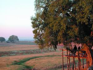 puku ridge tented camp safari