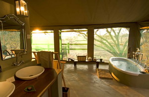 puku ridge tented camp zambia luxury safaris