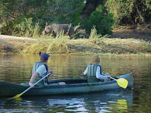 tongabezi and sindabezi island victoria falls luxury safari