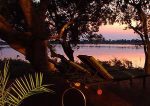 tongabezi and sindabezi island safari