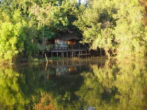 tongabezi and sindabezi island safari victoria falls