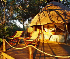 tongabezi and sindabezi island safari