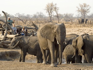 little makalolo camp safari