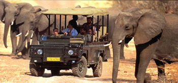 matetsi game lodge luxury safari