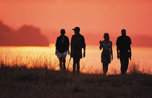 matetsi game lodge zimbabwe luxury safaris