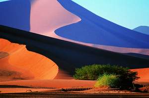 Best of Namibia Wing Safari | Luxury African Safari Vacations | Classic Africa - Best Luxury African Safaris