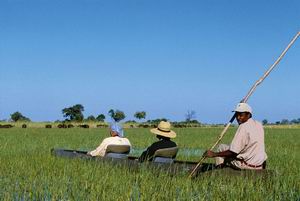 Migration Routes Safari | Luxury African Safari Vacations | Classic Africa - Best Luxury African Safaris