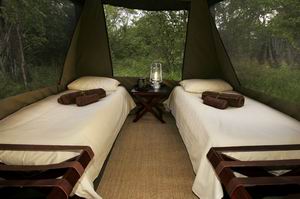Luxury African Safaris - Migration Routes Safari | Luxury African Safari Vacations | Classic Africa