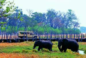 Luxury African Safaris - Migration Routes Safari | Luxury African Safari Vacations | Classic Africa