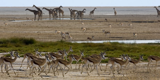 Great Namibian Journey | Luxury African Safari Vacations | Classic Africa