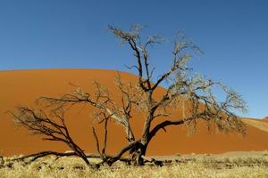 Luxury African Safaris - Great Namibian Journey | Luxury African Safari Vacations | Classic Africa