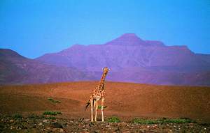 Great Namibian Journey | Luxury African Safari Vacations | Classic Africa - Best Luxury African Safaris