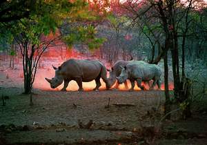 Luxury African Safaris - Great Namibian Journey | Luxury African Safari Vacations | Classic Africa