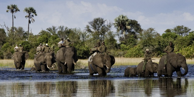Royal
African Safari - Luxury African Safari Tours