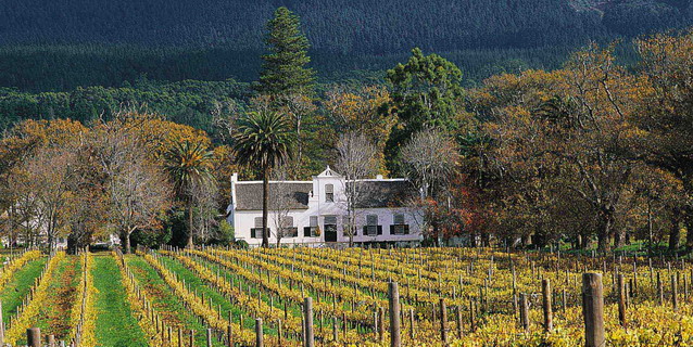 Buitenverwachting Estate, Cape Town - White Africans | Southern African Safaris | Classic Africa
