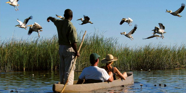 
  Luxury
  Safari Namibia, Botswana and South Africa - Mokoro Safari in the Okavango Delta 
