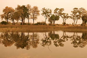 Luxury African Safaris - Reflection Photography