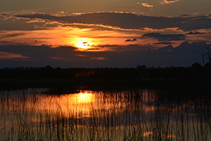 African Sunset - Luxury Southern African Safaris