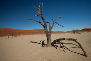 Sossusvlei Landscape - Luxury Namibia Safaris