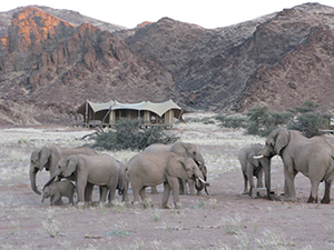 Luxury Namibia Safaris - Hoanib Skeleton Coast Camp Opening in the Kaokaveld