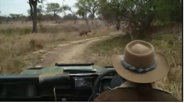 Virtual Game Drives with Djuma - Luxury Kruger Park Safaris