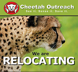 Cheetah Outreach in the Cape - South African Conservation