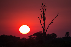Okavango Sunset - Luxury Botswana Safaris