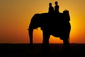 Luxury Elephant-Back Safari - Camp Jabulani
