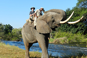 Luxury Southern African Safaris - Safari Experiences