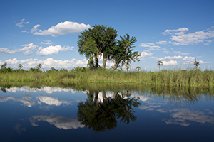 Safari Photography - Luxury African Safaris