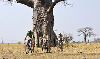 Luxury South Luangwa Safaris - Activities at Tafika Camp