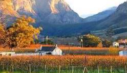 Luxury Franschhoek Experiences - Le Quartier Francais in South Africa