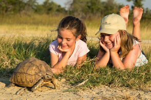 Luxury Botswana Safaris - Bush Buddy Care and Education